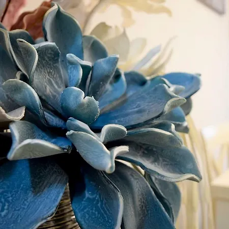 Sweet Apartment Ávila